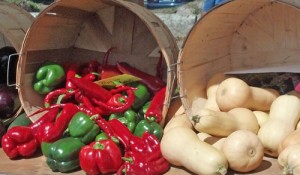 Sticks and Stones Peppers and Squash