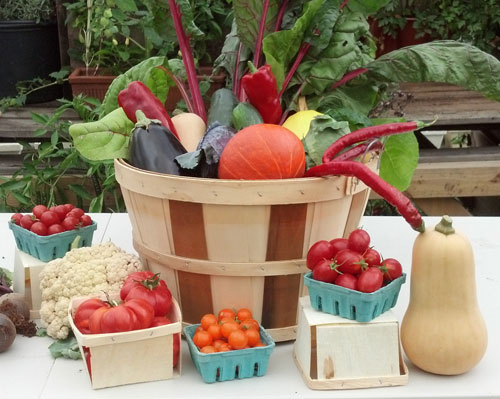 Sticks and Stones CSA vegetables